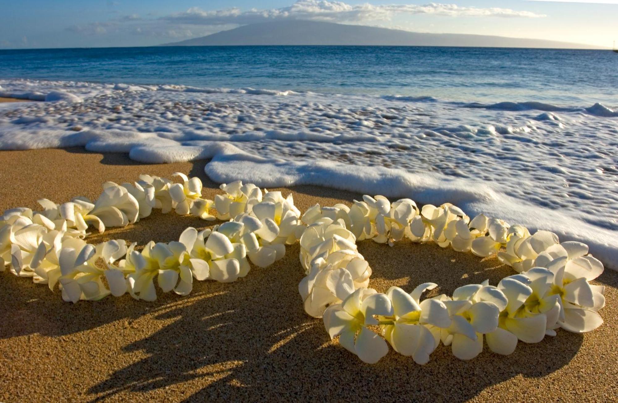 Mountain View Condo Near Beach With Free Parking! Honolulu Exterior foto